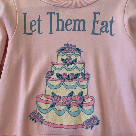 WILDFOX LET THEM EAT CAKE SWEATSHIRT - Picture 1 of 11